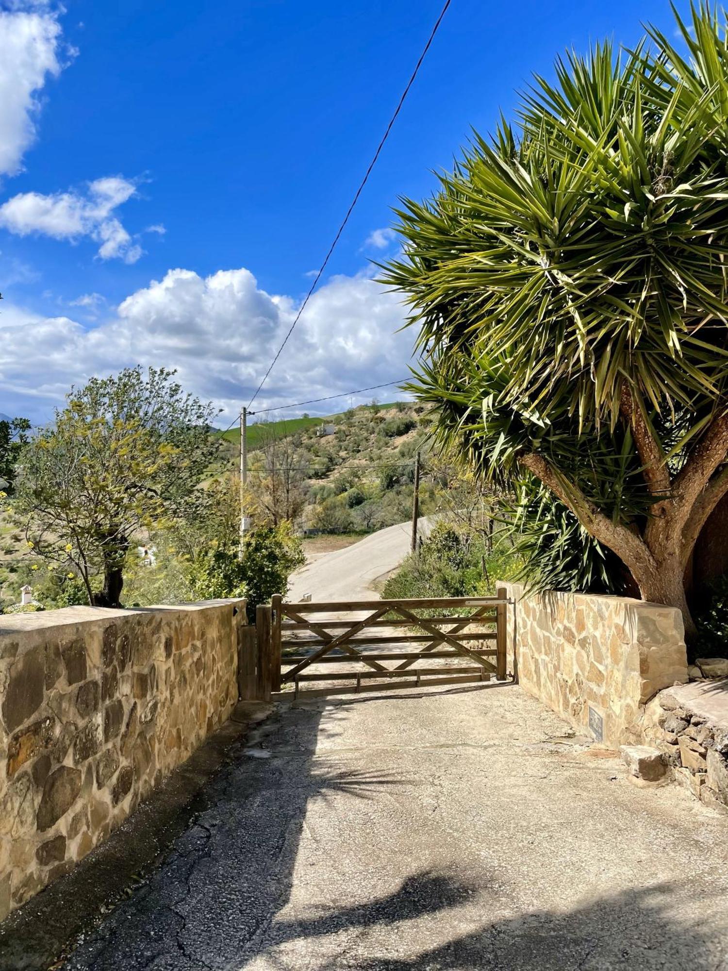 Finca El Sueno Andaluz Villanueva de la Concepcion Exterior photo