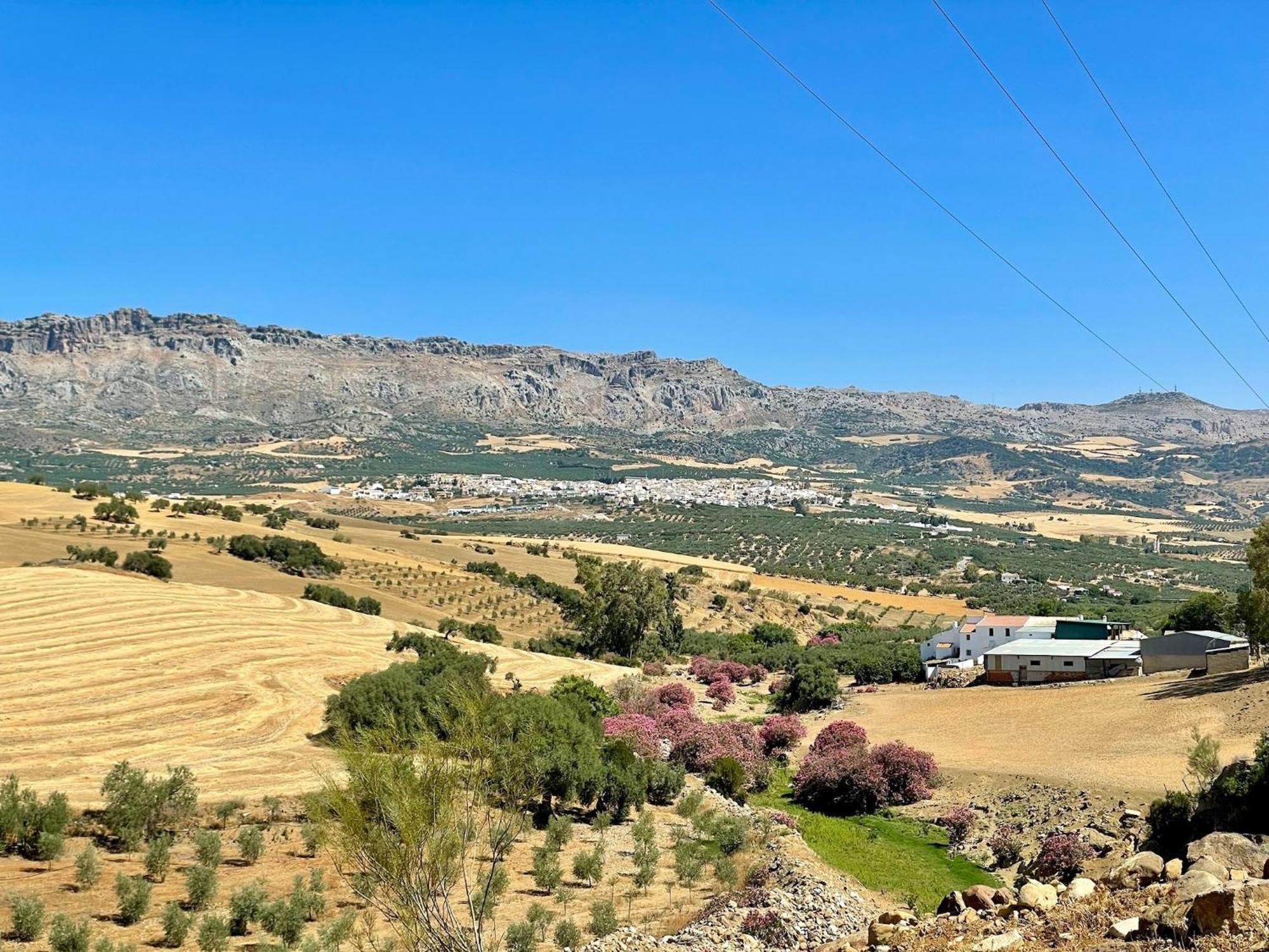 Finca El Sueno Andaluz Villanueva de la Concepcion Exterior photo
